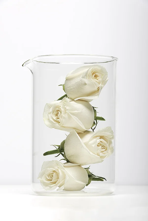 ©HollyRike_Roses.jpg