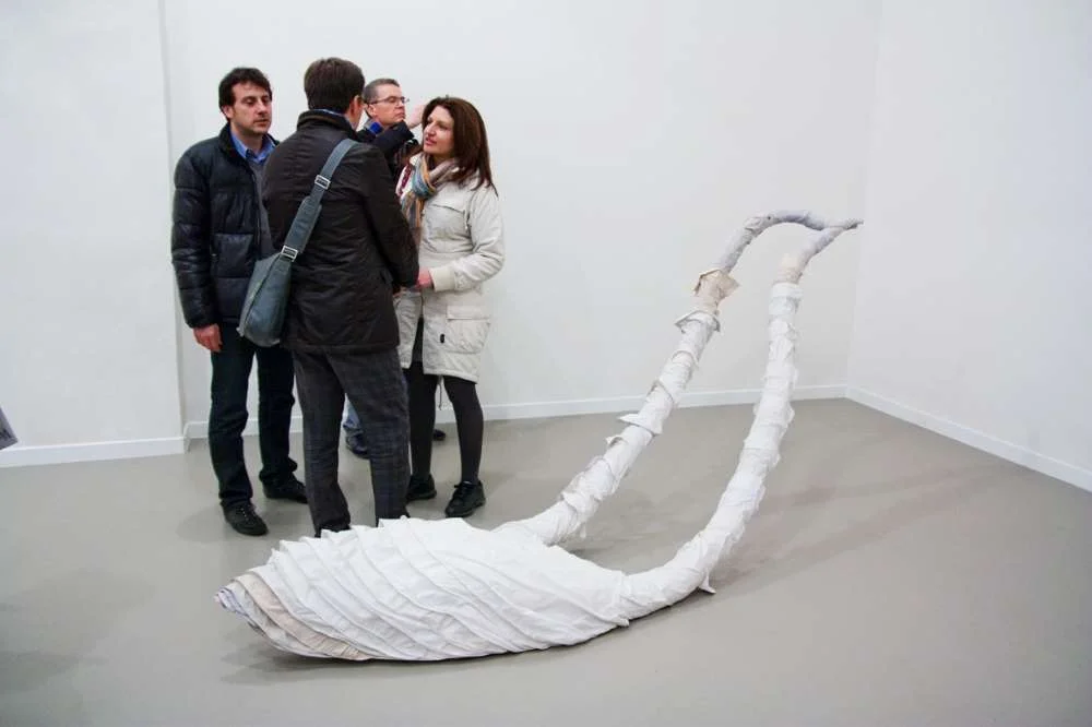 I Feel A Bird in Me, 2012