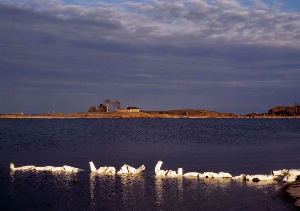 Journey Home, 1995, Hanko