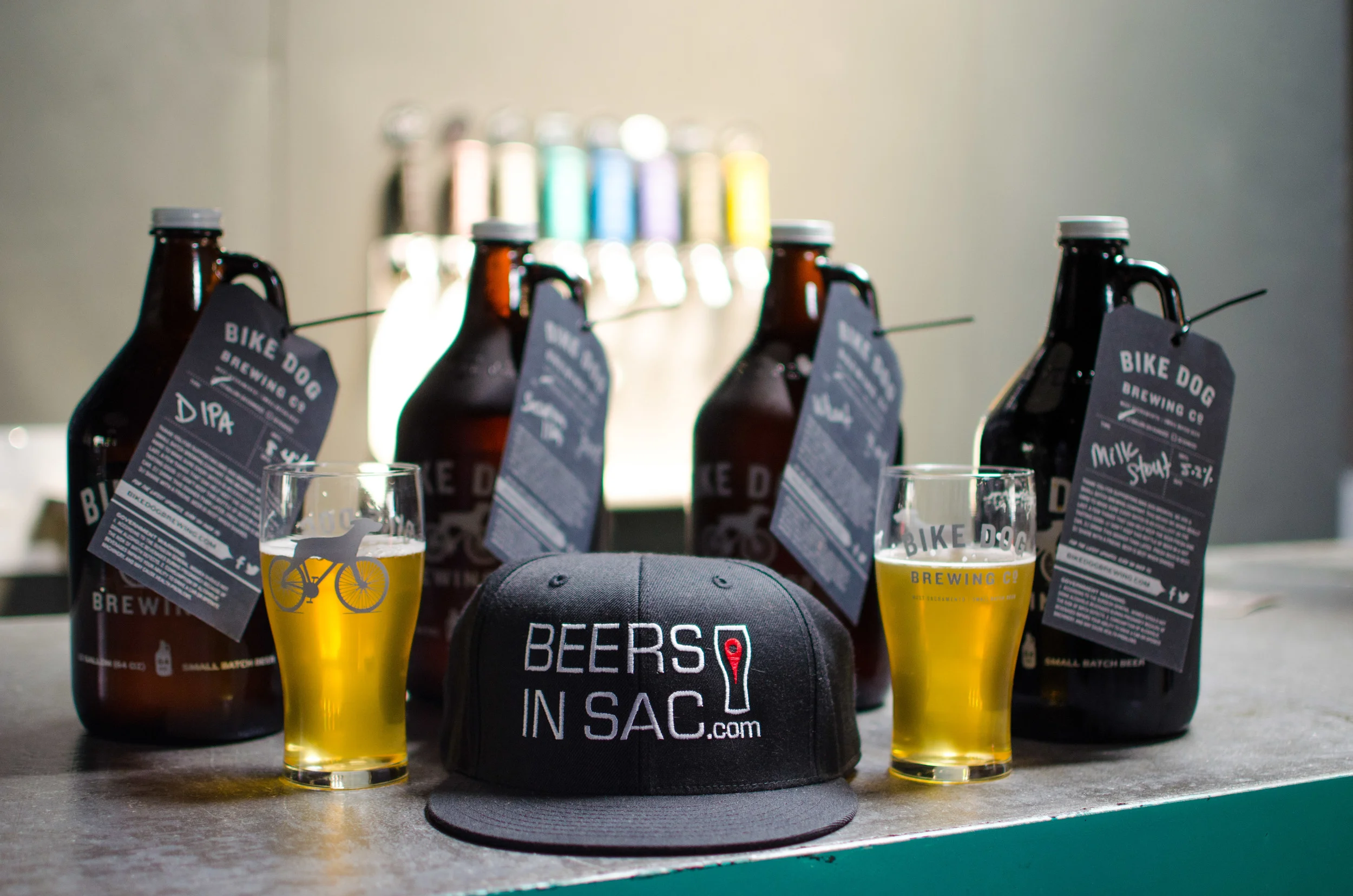 beersinsac-bike-dog-1.jpg