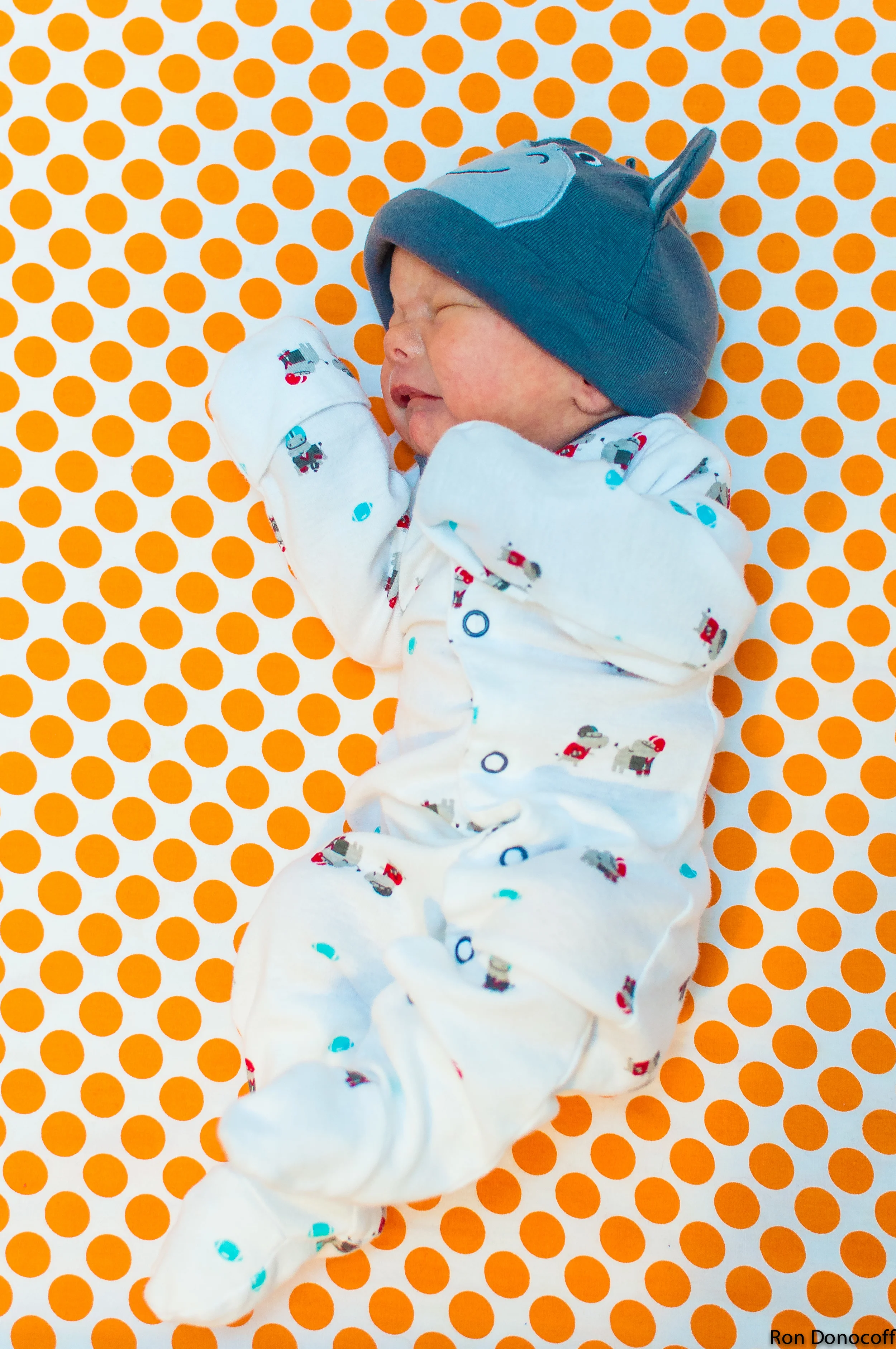 140123 - Baby Frankie-7.jpg