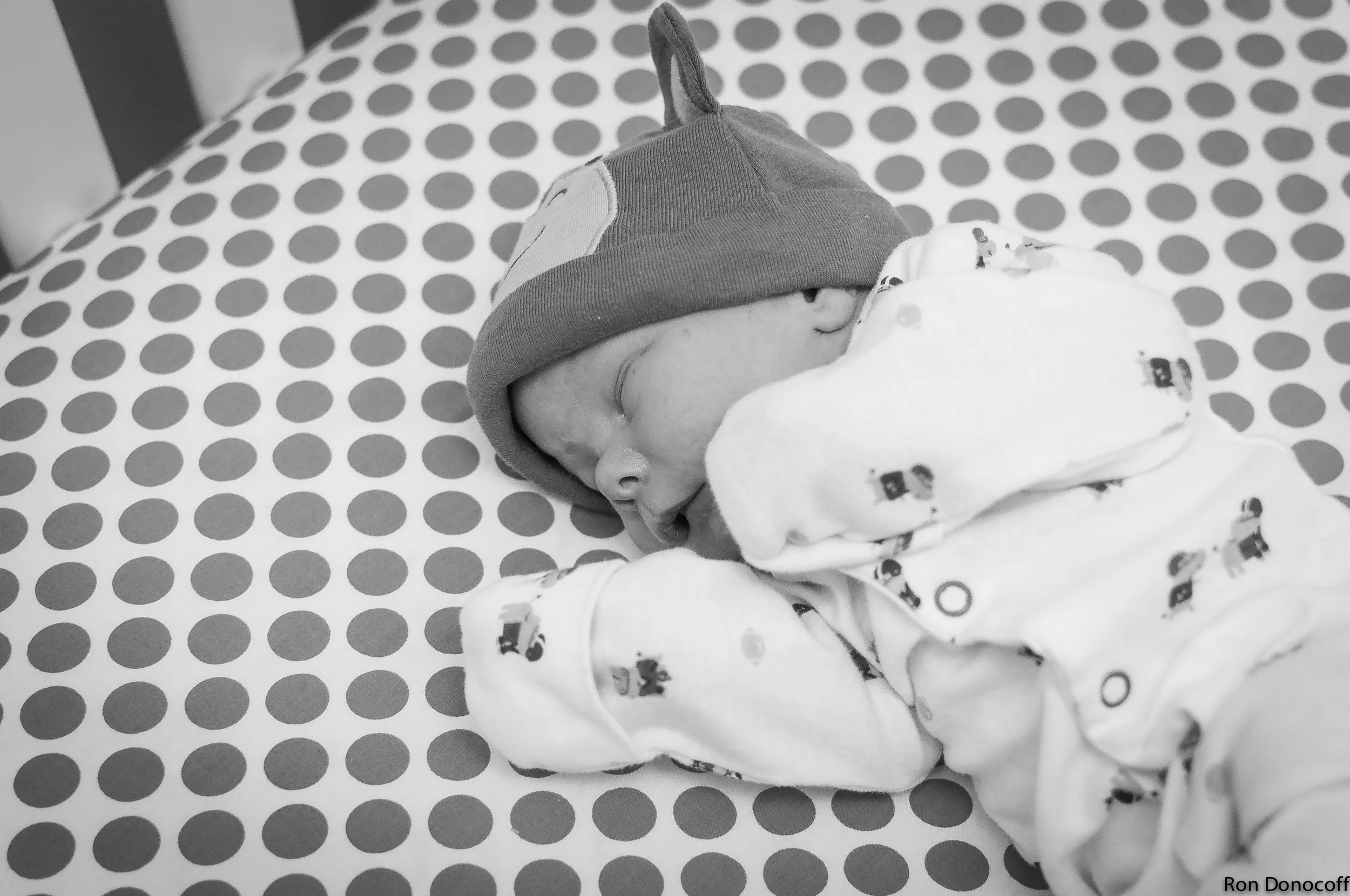 140123 - Baby Frankie-9.jpg