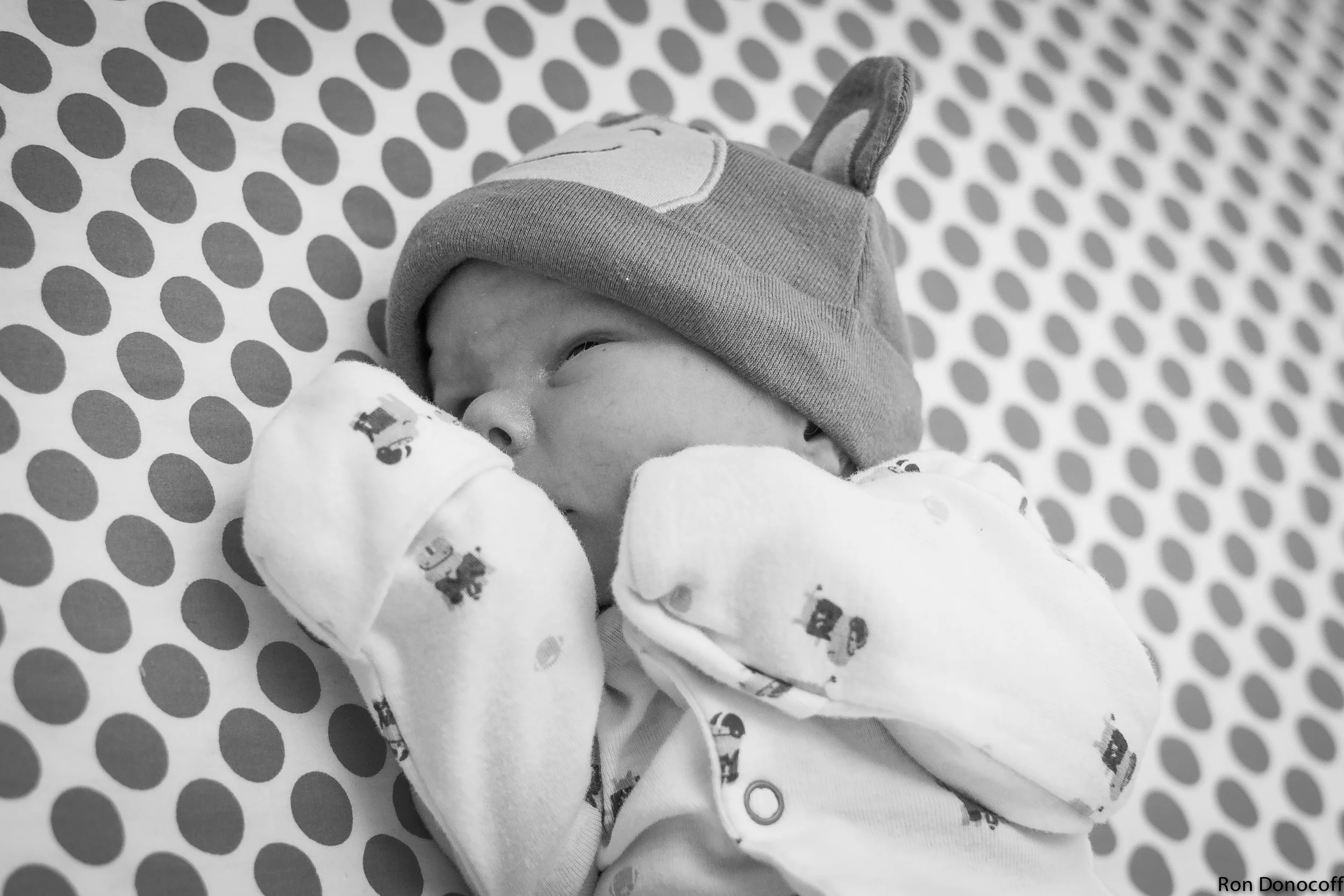 140123 - Baby Frankie-10.jpg