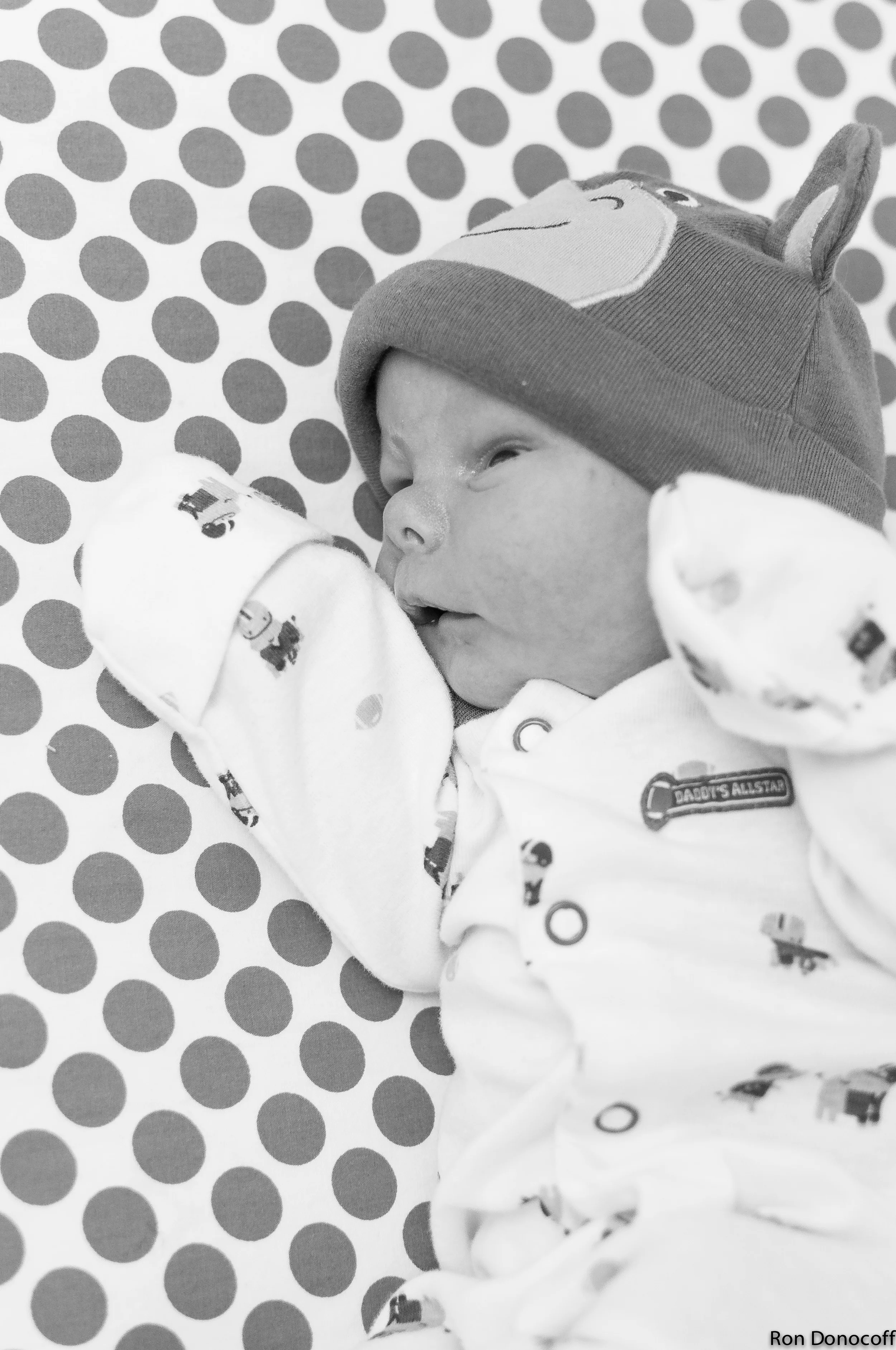 140123 - Baby Frankie-11.jpg