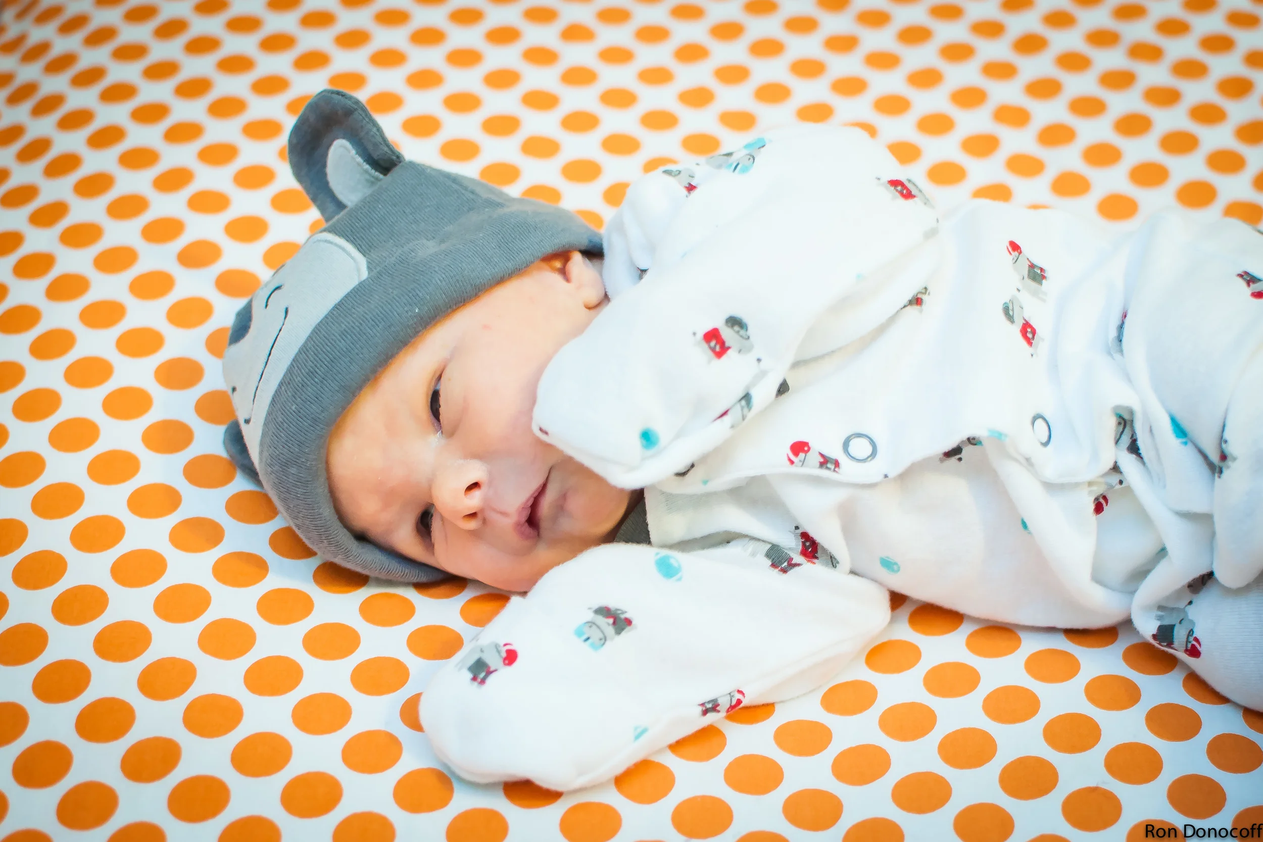140123 - Baby Frankie-12.jpg