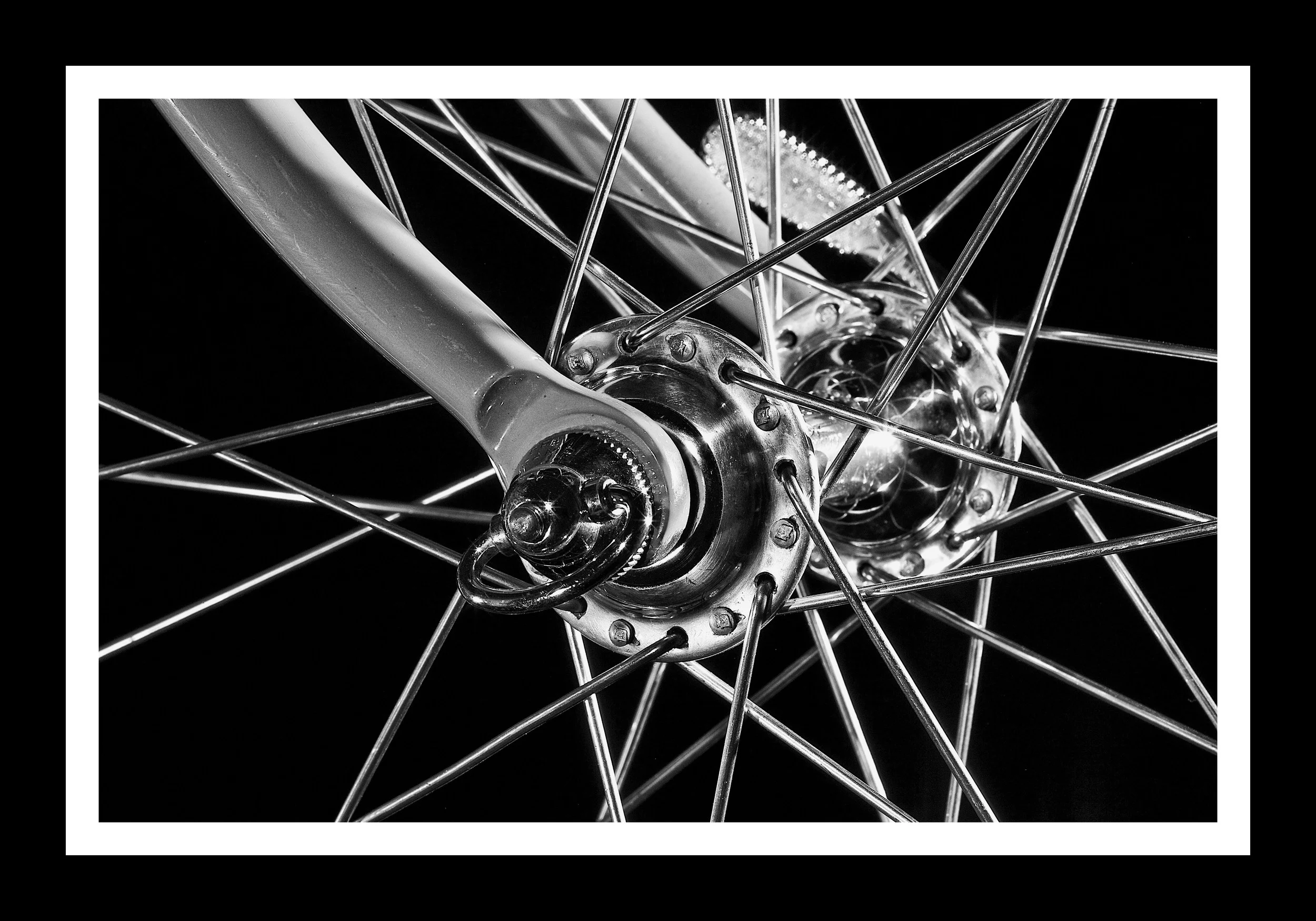 campy hub.jpg