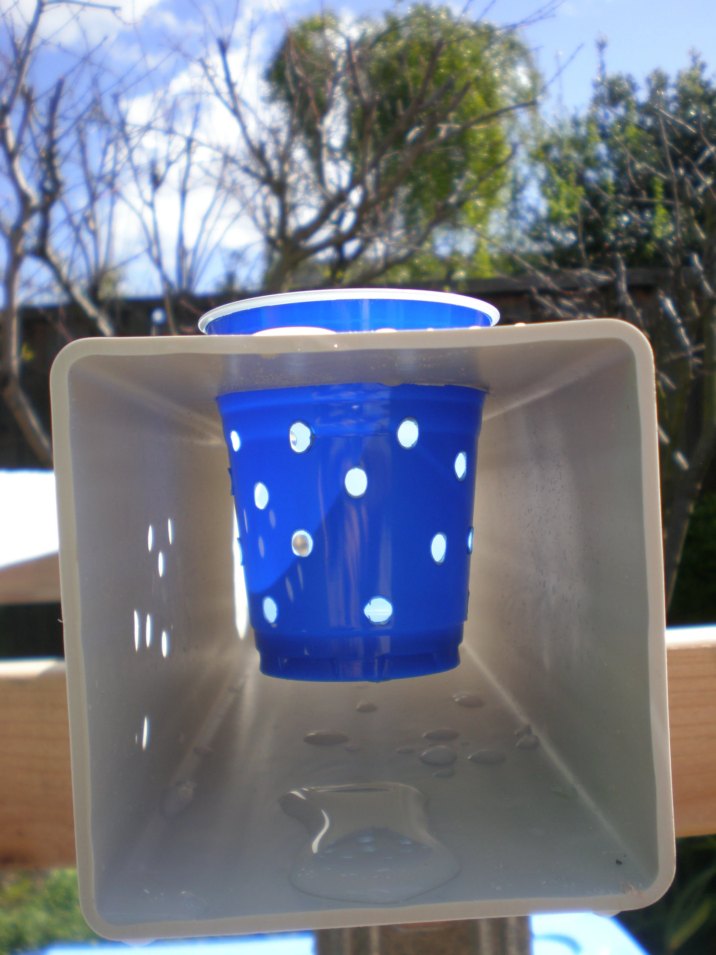 Step By Step Instructions Awesomeness Projects