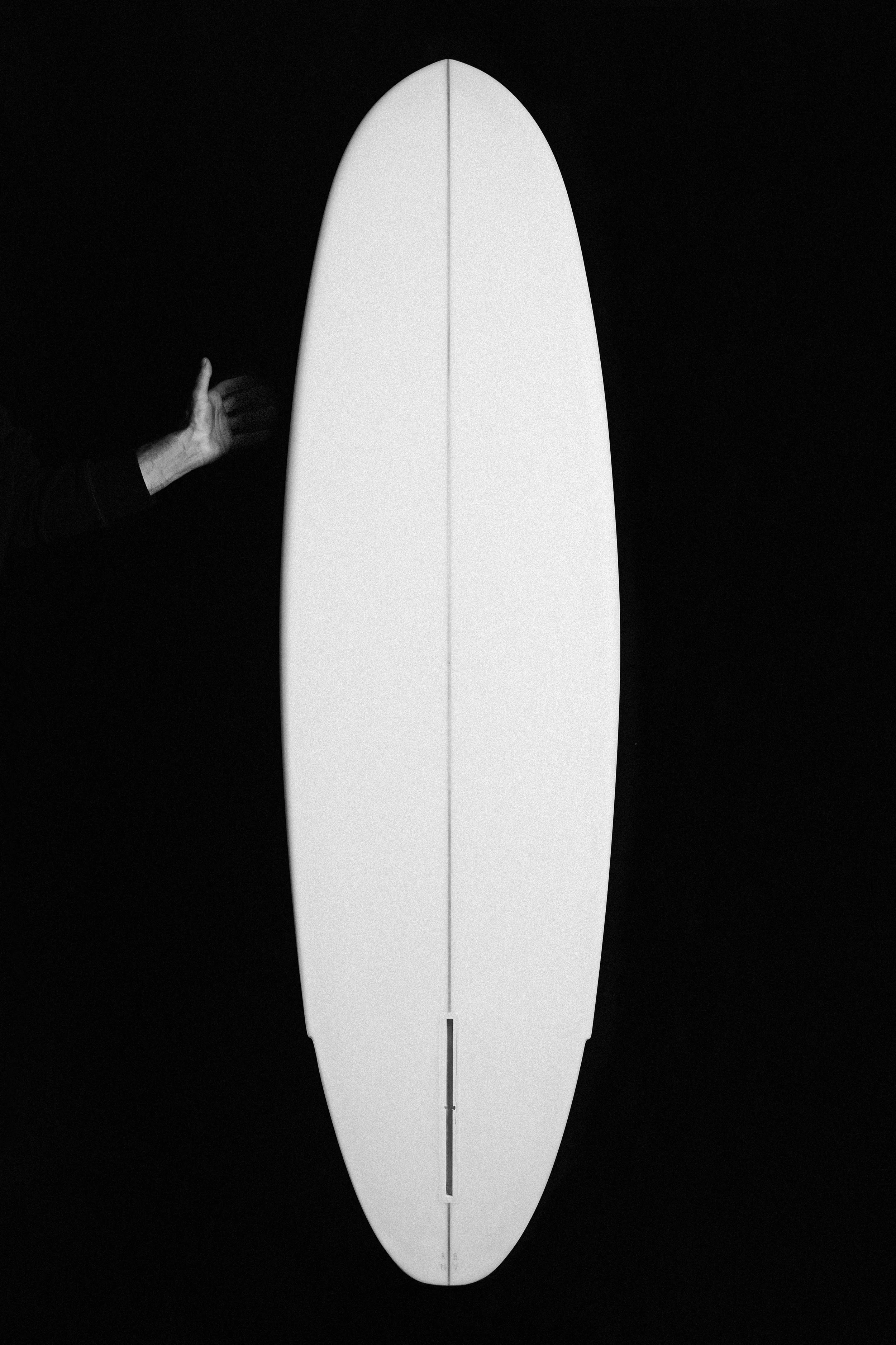 Winged Tiger - Falcone Surfboard - Julien Roubinet 2.jpg