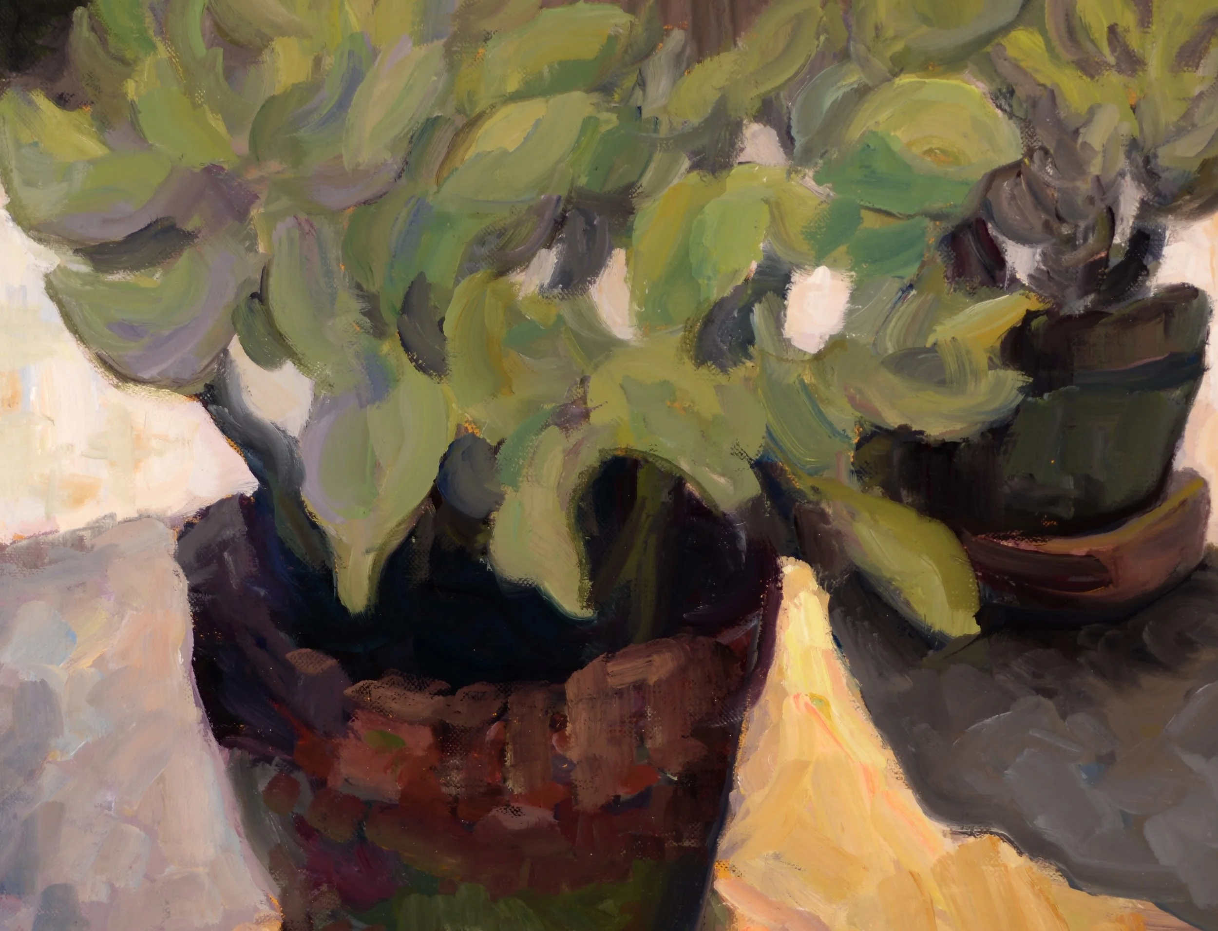 Succulents, oil on linen on panel, 14x14, 2026 copy.jpg