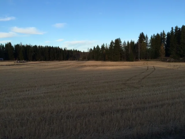 Aamuisen postilenkin varrelta.