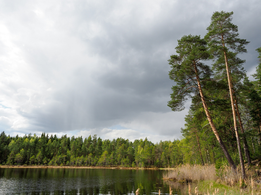 Råmossa Lodge.