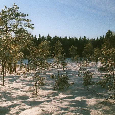 kevättalvi_Råmossa_Lodge.jpg
