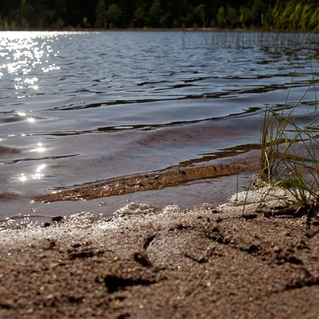 Sun glittering on a lake view, Finnish nature, Råmossa Lodge