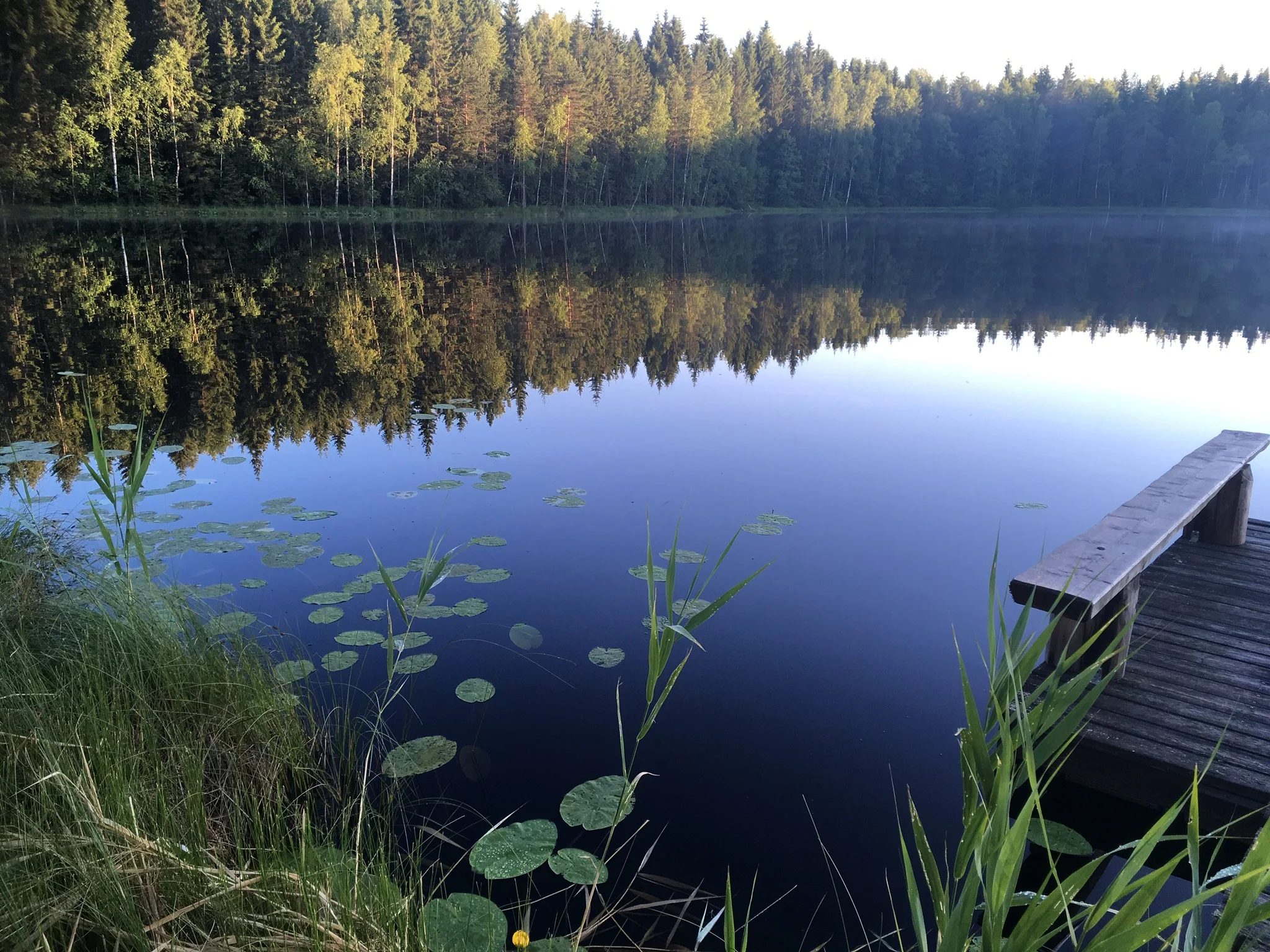 R%C3%A5mossa+Lodge%2C+Nature+Paradise++%281%29.jpg