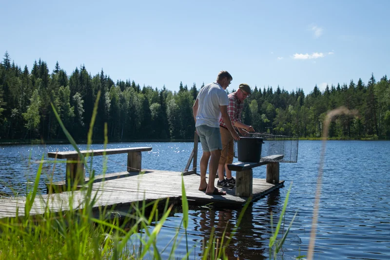 Kalaa nousee Råmossan omasta järvestä! Puuhastele, ilman aikataulua.