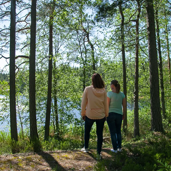 Luontopolku järven rannalla