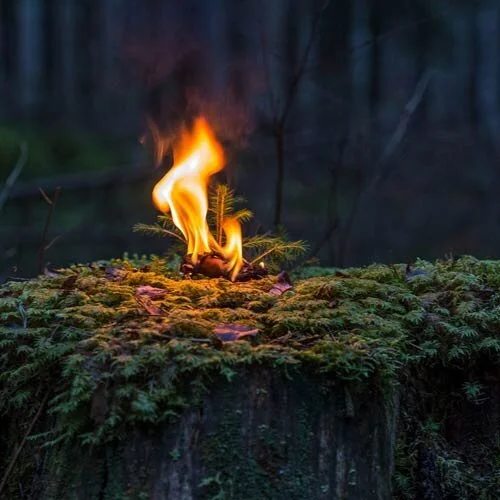Tuli metsässä