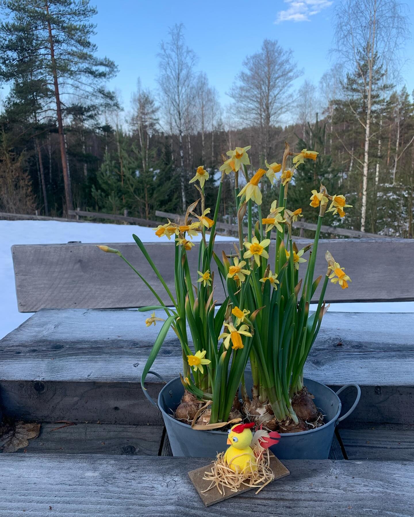 Rauhallista p&auml;&auml;si&auml;ist&auml;.
Glad p&aring;sk.
Happy easter. 
#visitporvoo 
#visitfinland 
#ramossa
#ramossalodge