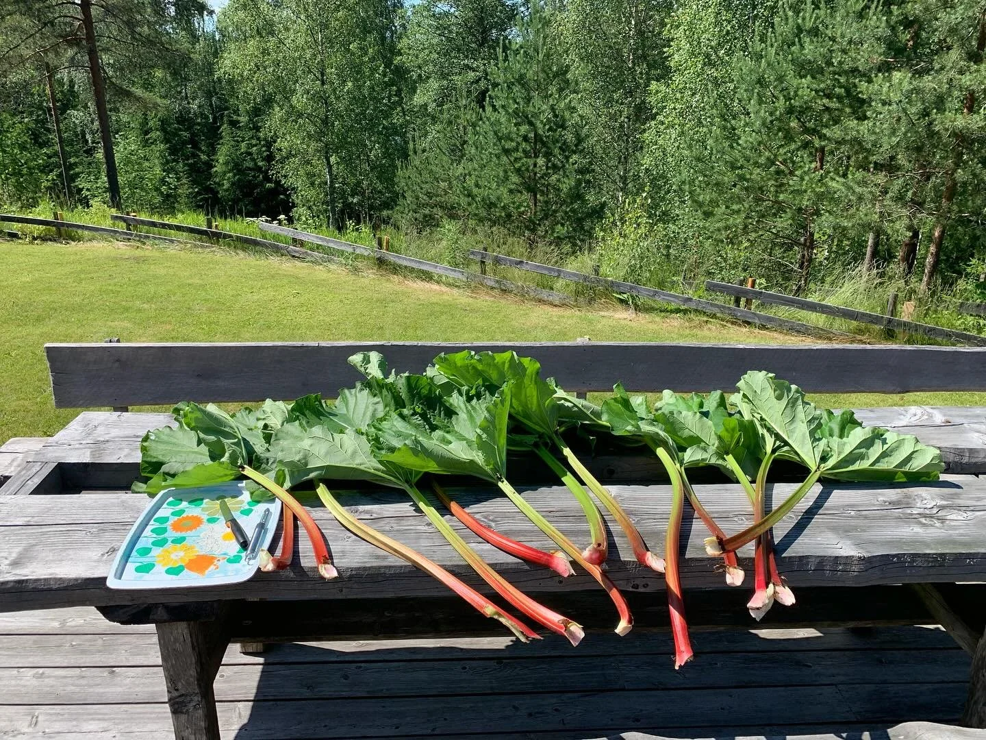 On aika s&auml;il&ouml;&auml; kes&auml;herkkuja vieraillemme syksy&auml; ja talvea varten. Usein tarjoamme nokipannukahvin mukana R&aring;mossan raparperipiirakkaa. 
#kokousporvoo
#kokoustilat
#el&auml;myksellinenkokous
#kokousluonnossa
#kokousp&auml