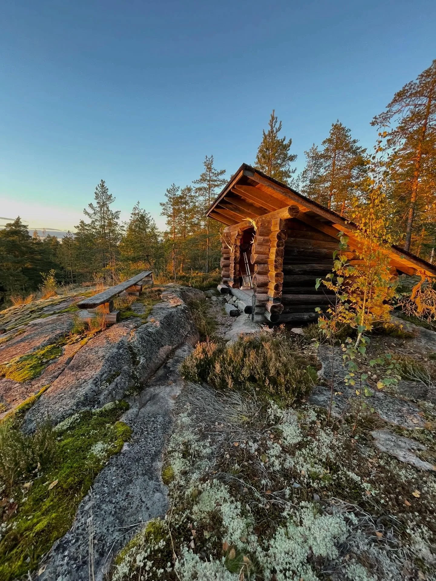 N&auml;kymi&auml; er&auml;&auml;n luontopolkumme varrelta. T&auml;&auml;lt&auml; ylh&auml;&auml;lt&auml; n&auml;kee asioita kyll&auml; pidemm&auml;lle kuin normiarjessa, totesi kokousvieraamme. Osuva vertauskuva!
🌲🌲🌲

#kokouspaikka 
#kokoustila 
#
