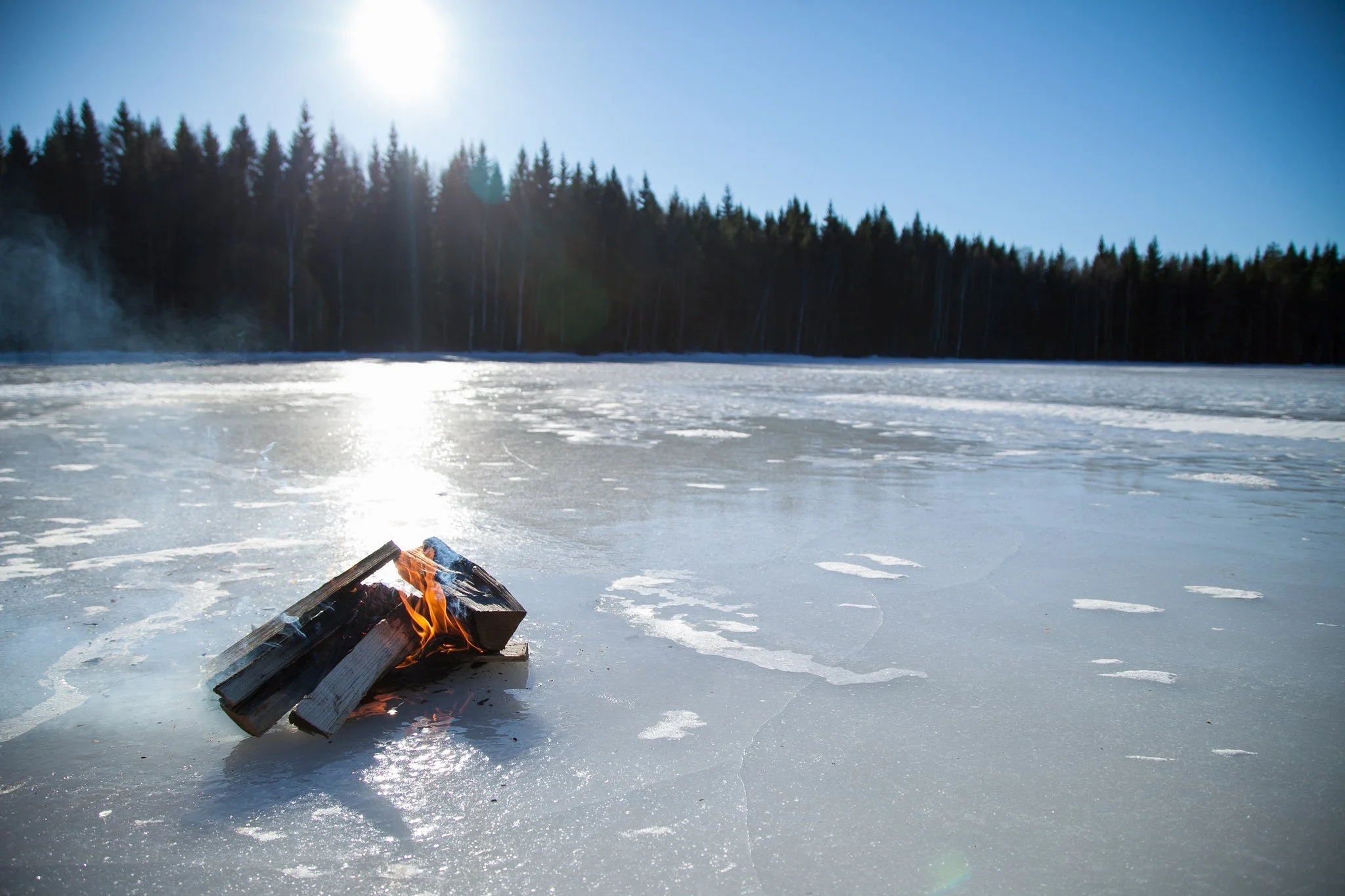 Råmossa_talvi_tulijäällä.jpg
