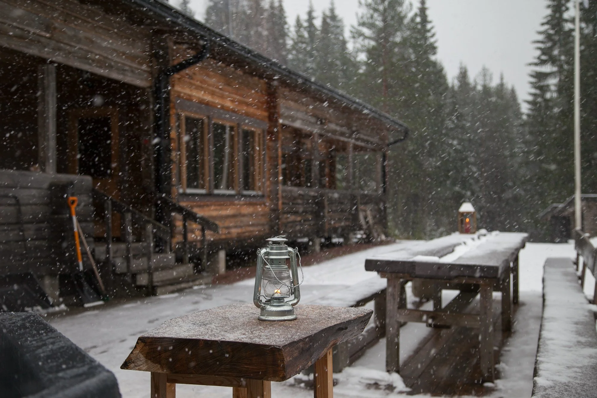 Råmossa lumipyry .jpg