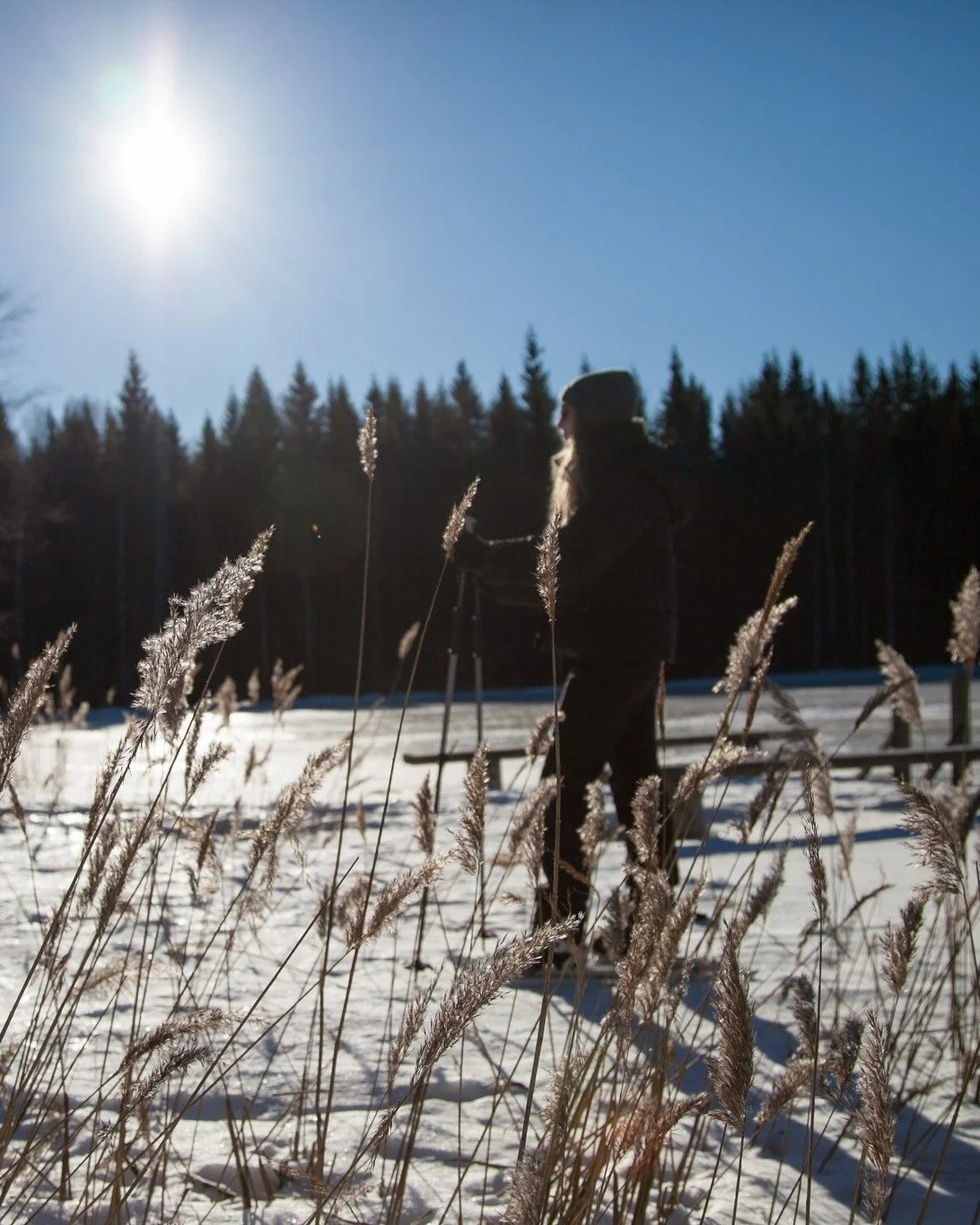 Kev&auml;tt&auml; ja valoa ilmassa! Loistava ajankohta siis koota tiimi suunnittelemaan tulevaa. Palvelemme aina vain yht&auml; ryhm&auml;&auml; kerrallaan, joten takaamme teille yksityisyyden ja henkil&ouml;kohtaisen palvelun. Tervetuloa Porvoon maa