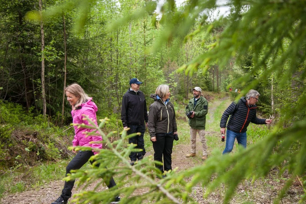 Råmossa_maijan rinteessä ryhmä.jpg