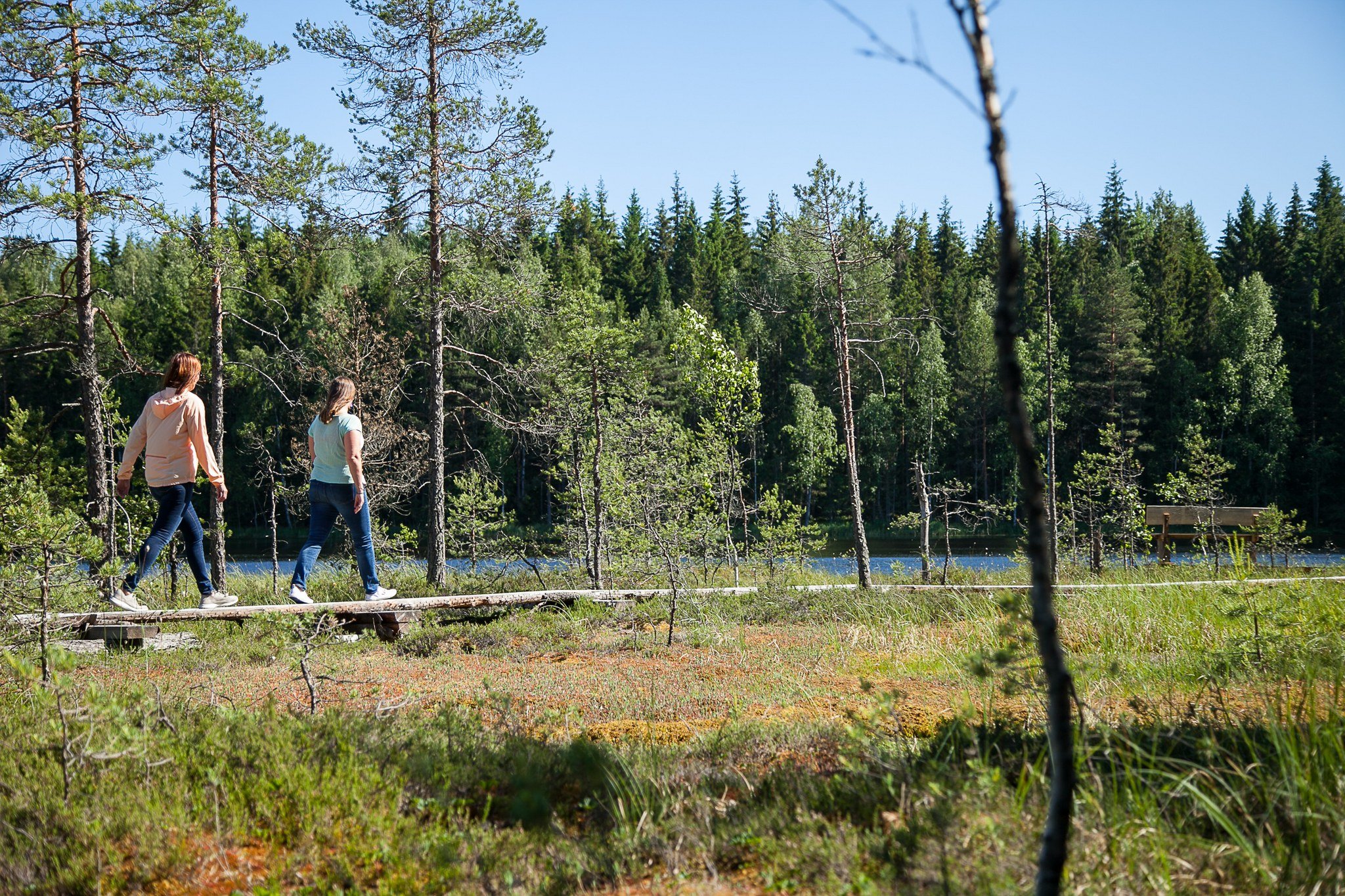 Råmossa kesa virksty (1).jpg