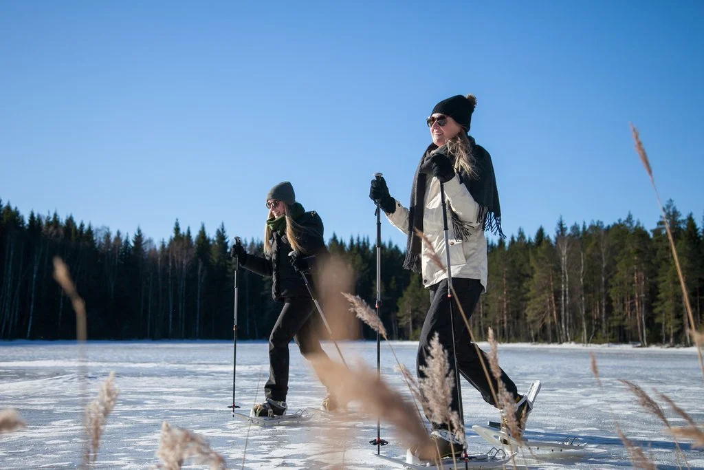 Råmossa_talvi_2019-9977.jpg