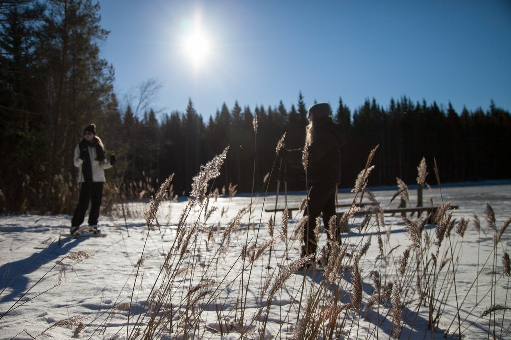 Råmossa_talvi_2019-9921.jpg