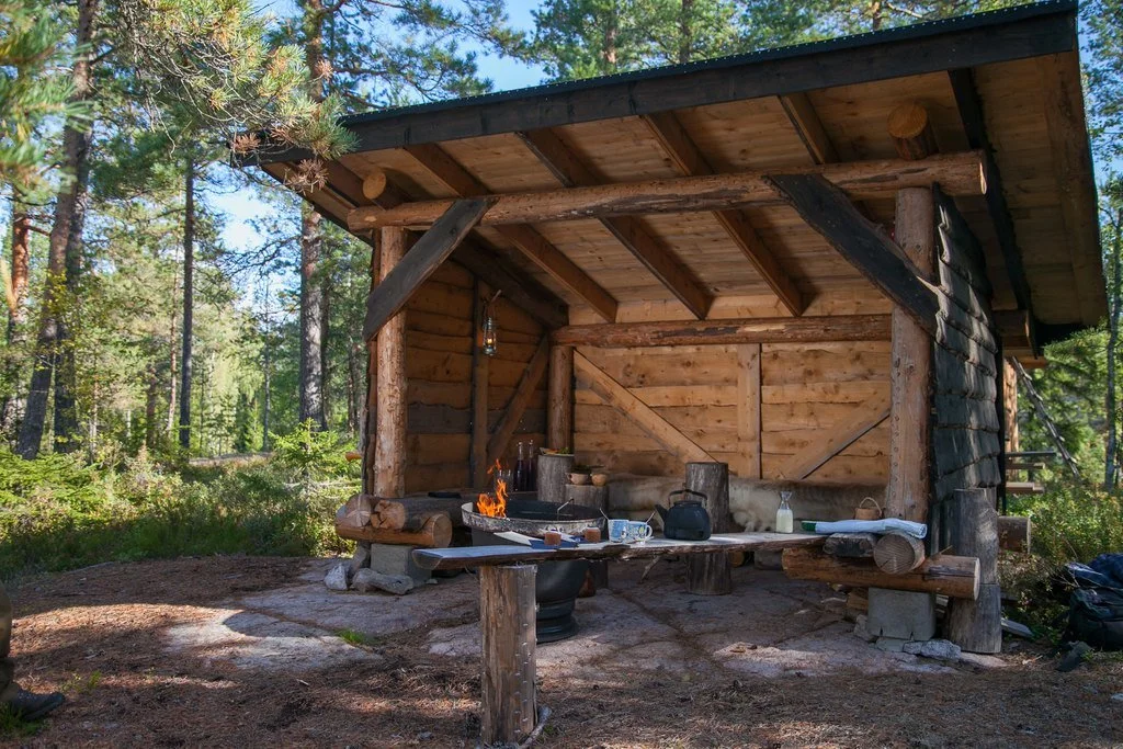 Råmossa metsälaavu syksy.jpg