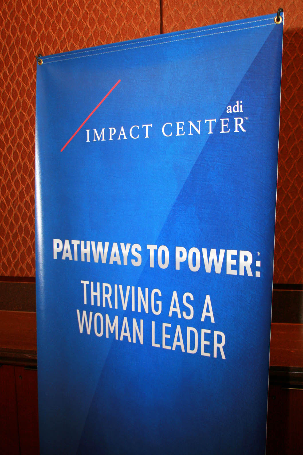 pathways to power 12.02.2010 (6).jpg