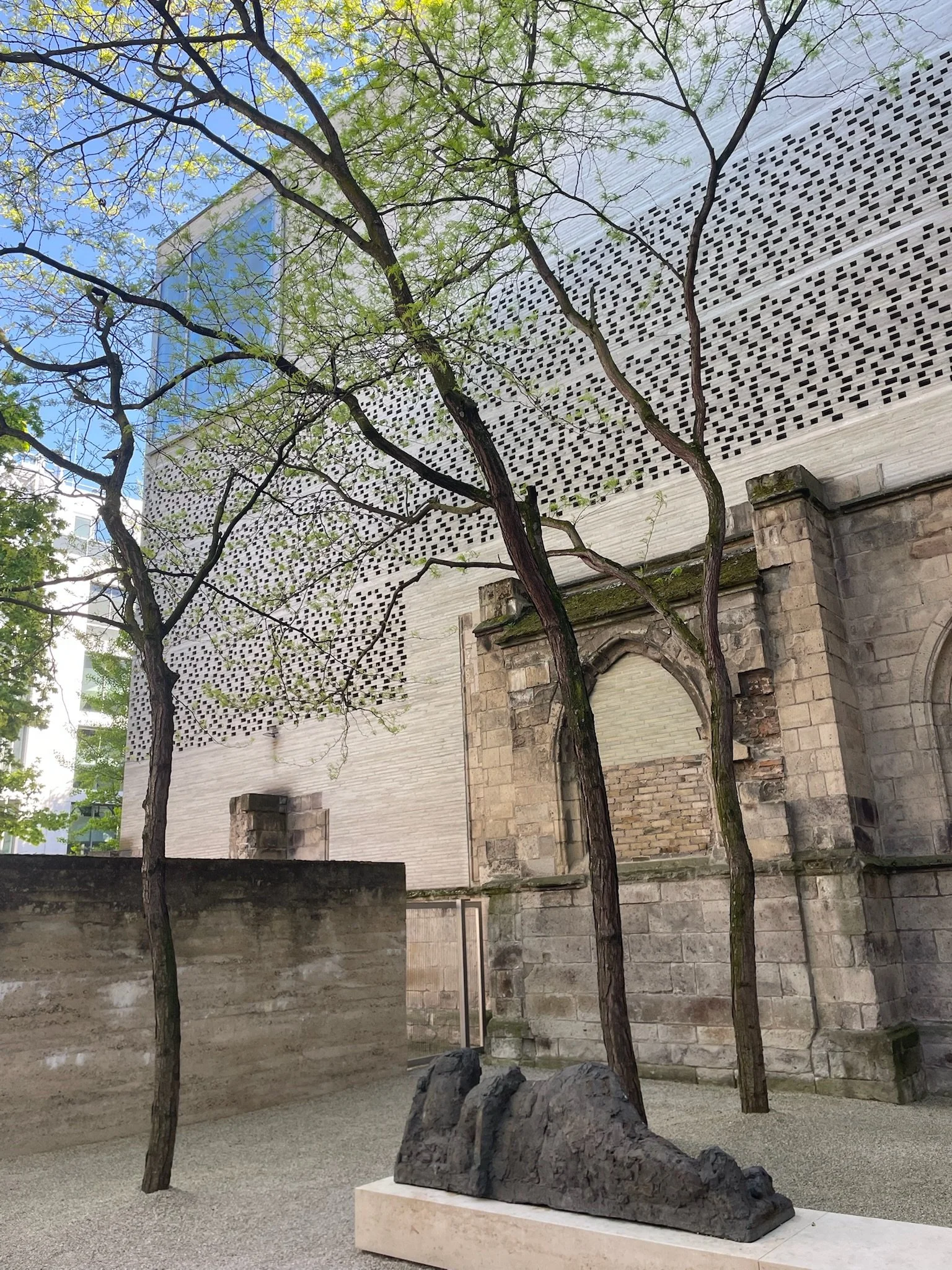 IMG_0208.jpeg