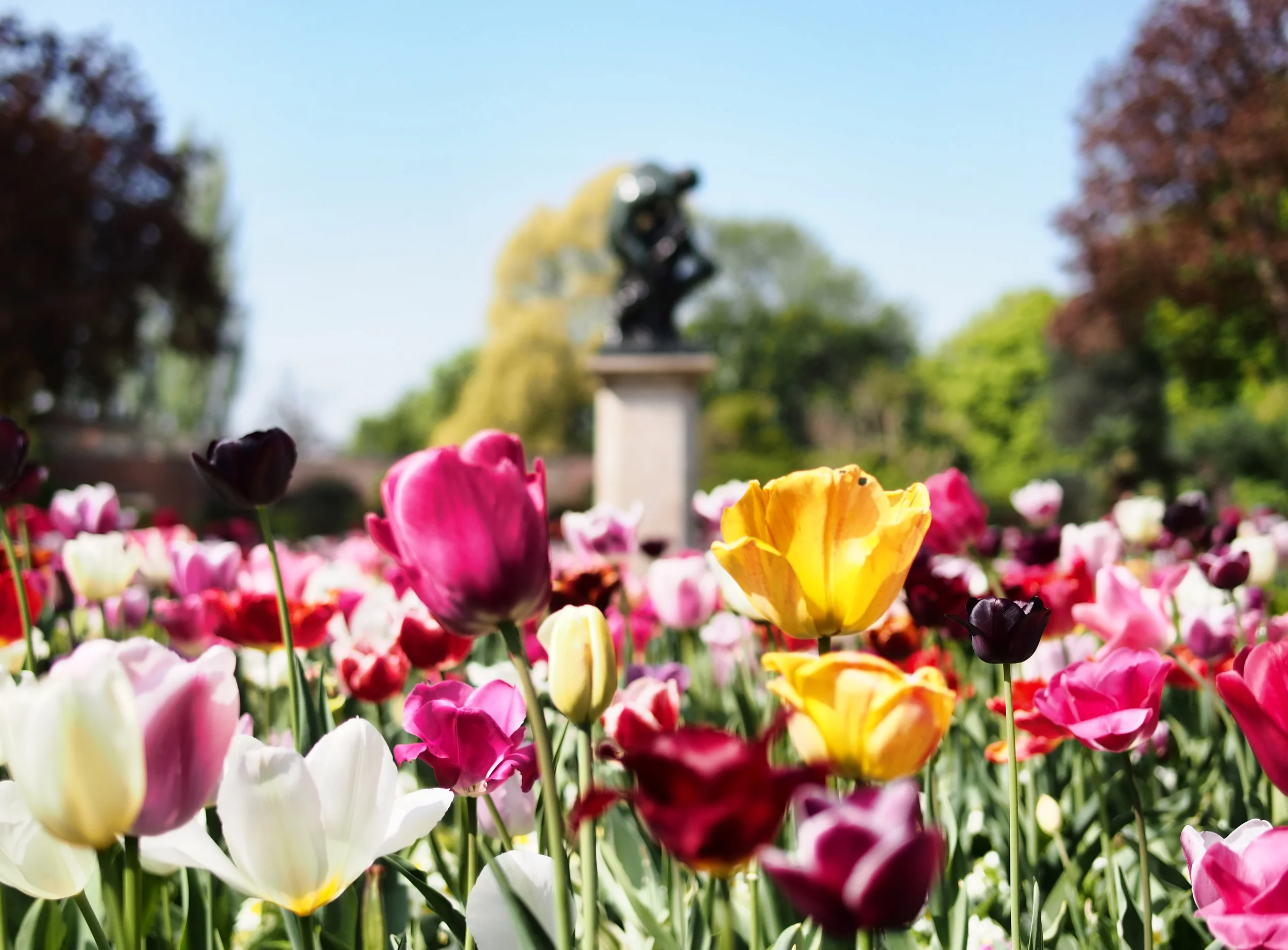 Monarch House Serviced Apartments - Holland Park