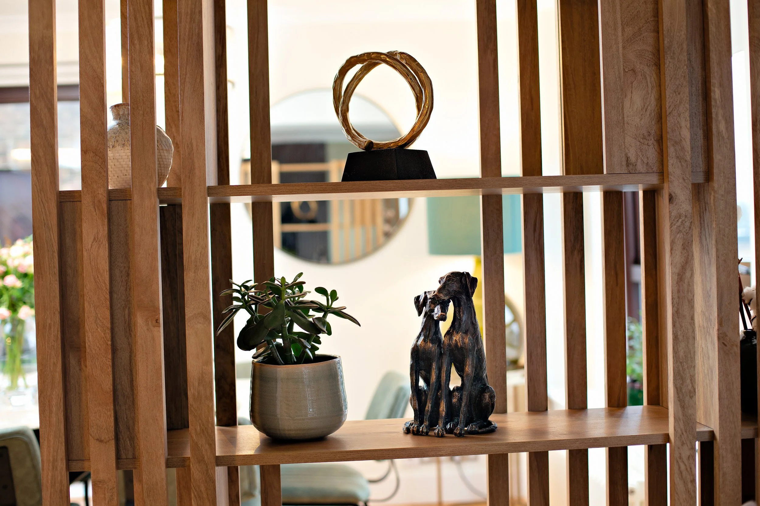 30 - Zoom In Dogs.jpg