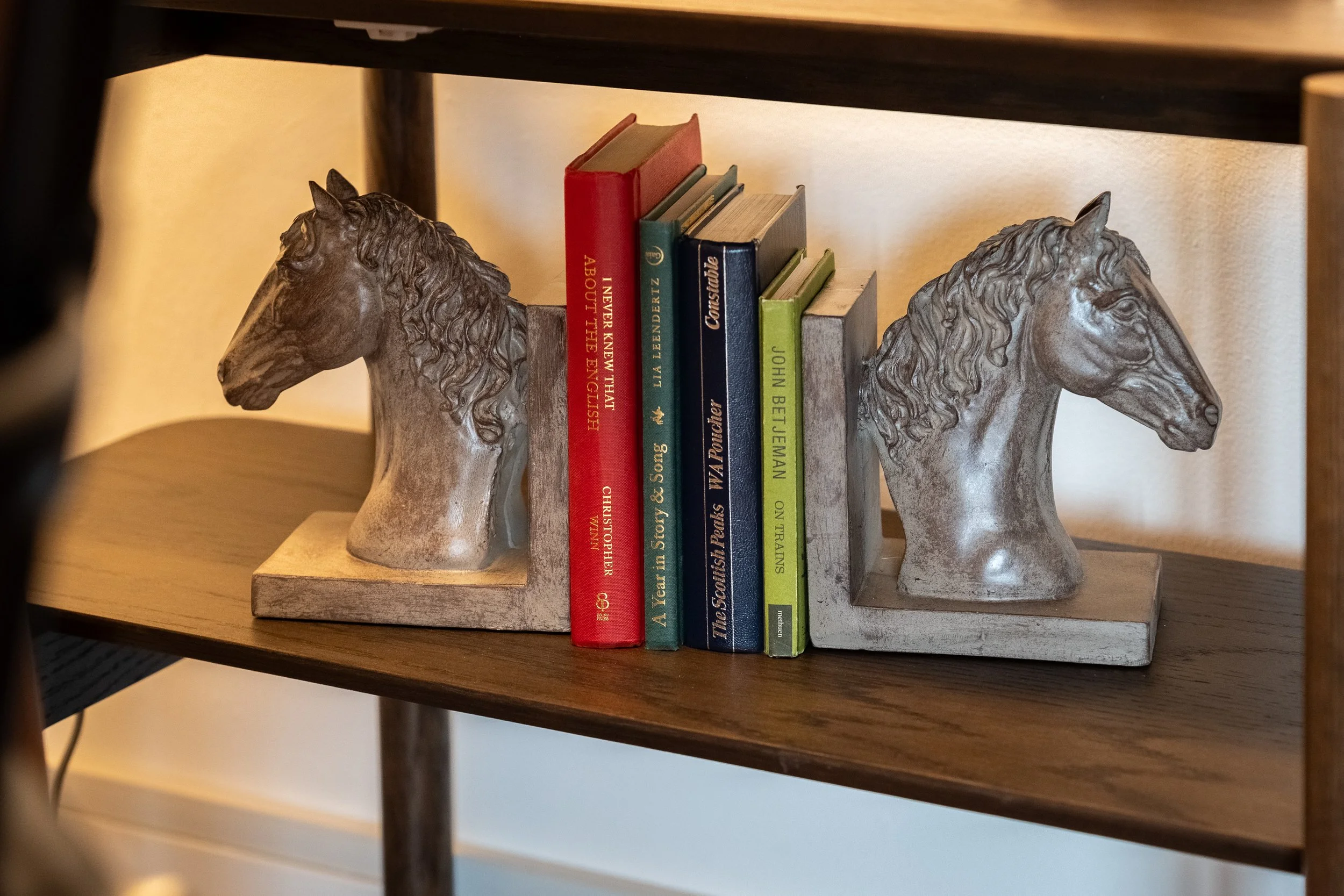 DLX2E - Shelves.jpg