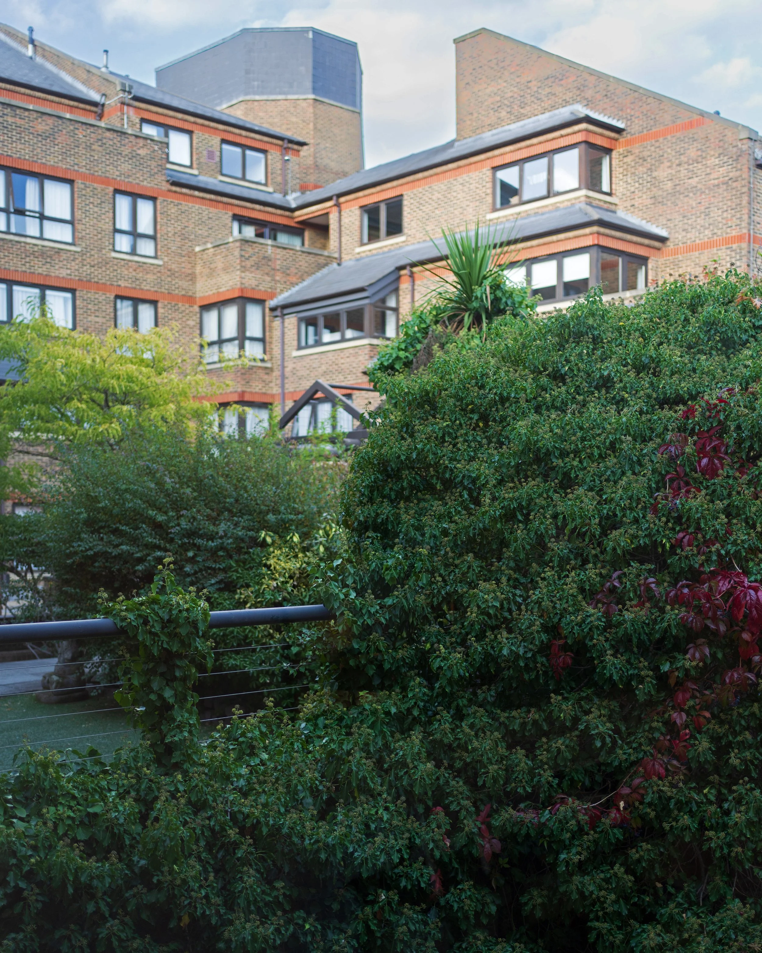 DLX3 - Courtyard.jpg