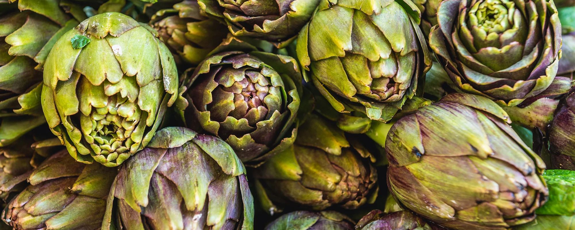 Garden.jpg