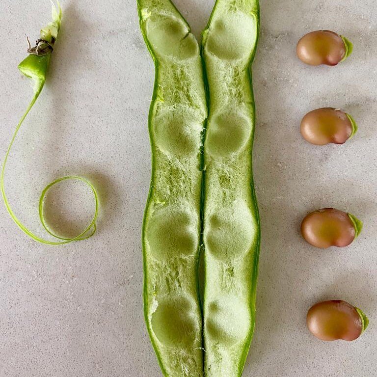 GROW YOUR OWN : : allotment joy... broad beans, homegrown and first of the season. Trialling 3 different varieties [Karmazyn, Imperial Green Longpod &amp; Super Aguadulce] this year for taste and cropping.⁣
⁣
My mother used to serve these with Parsle