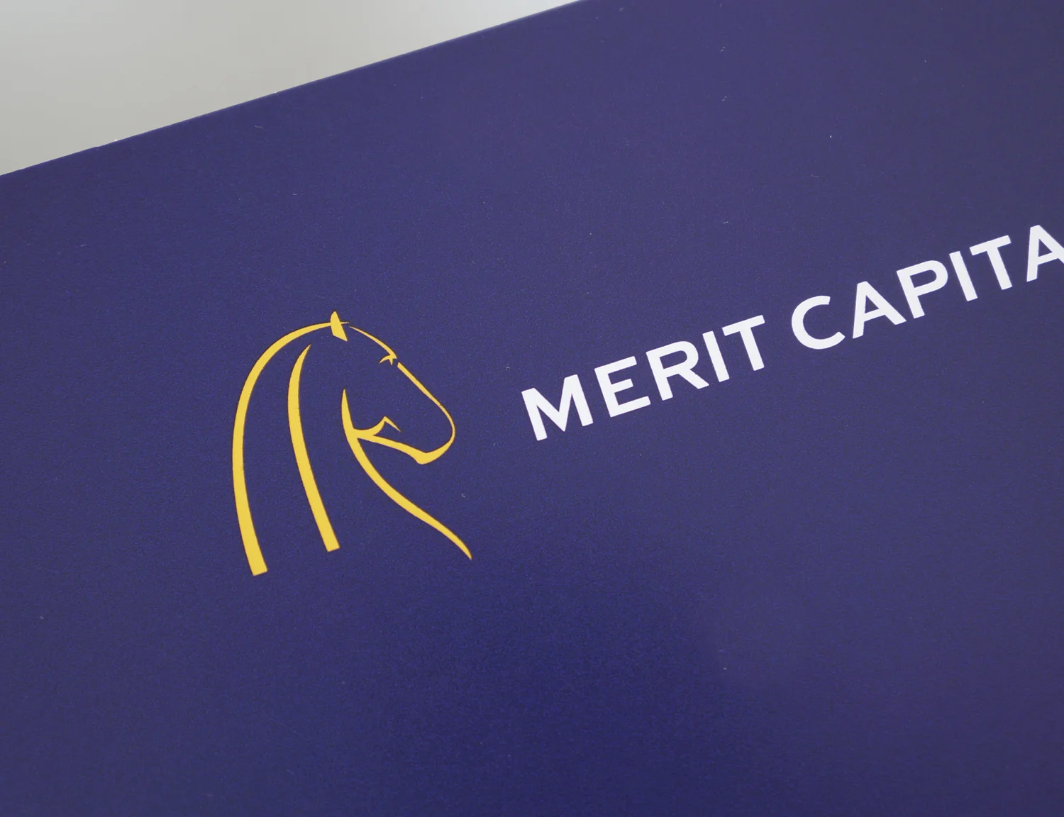 merit_capital_2.jpg