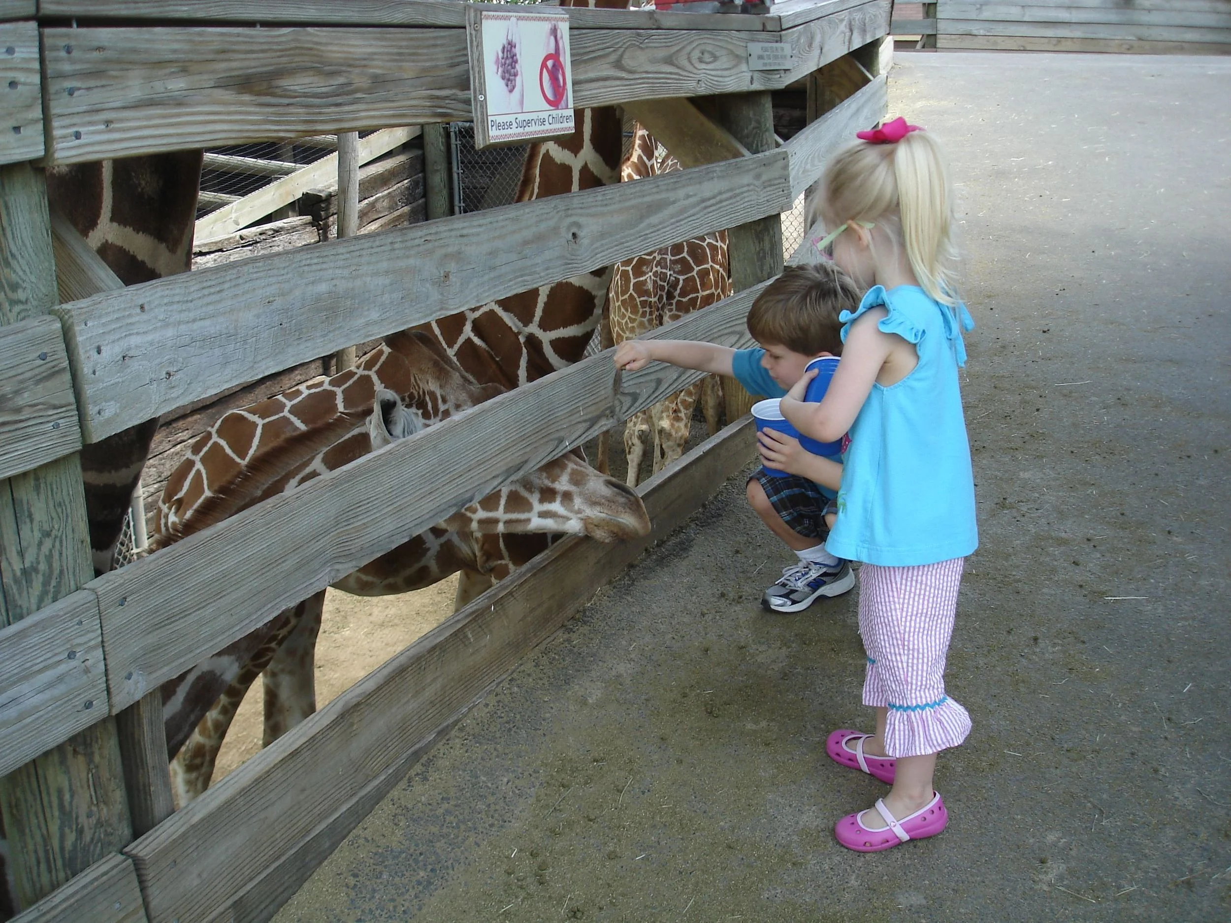 2011 Kevin-Zoo 067.jpg