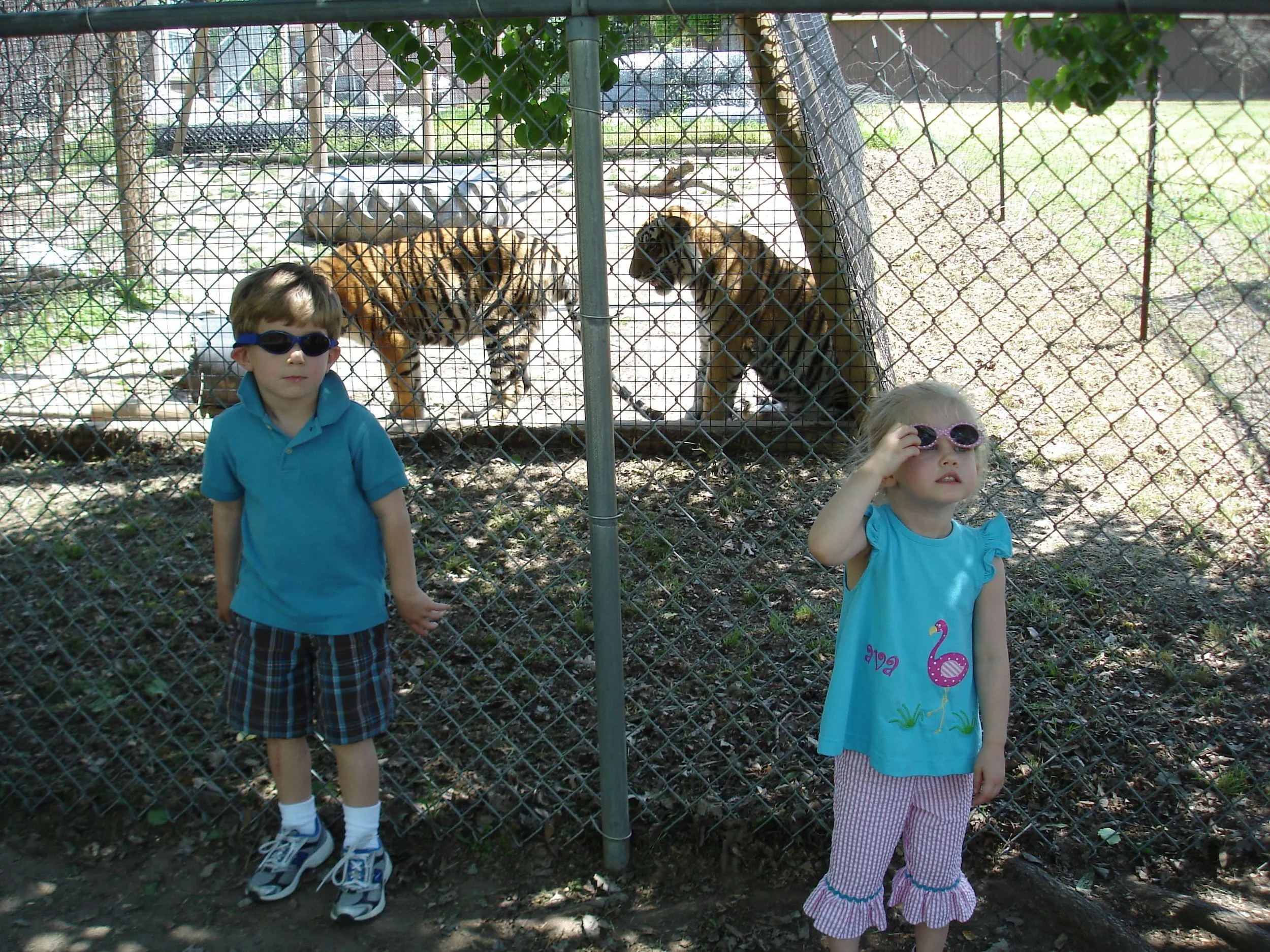 2011 Kevin-Zoo 049.jpg