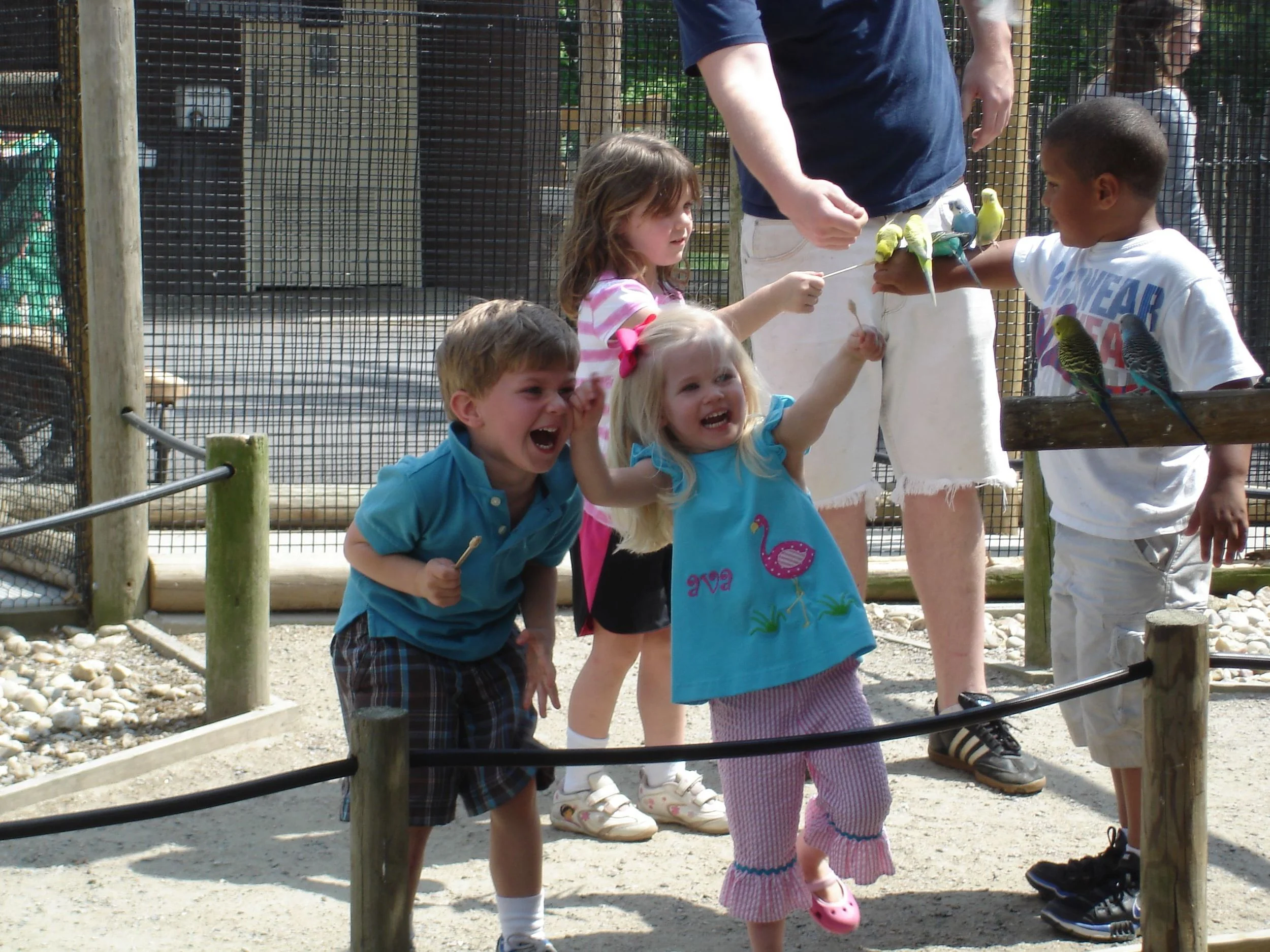 2011 Kevin-Zoo 127.jpg