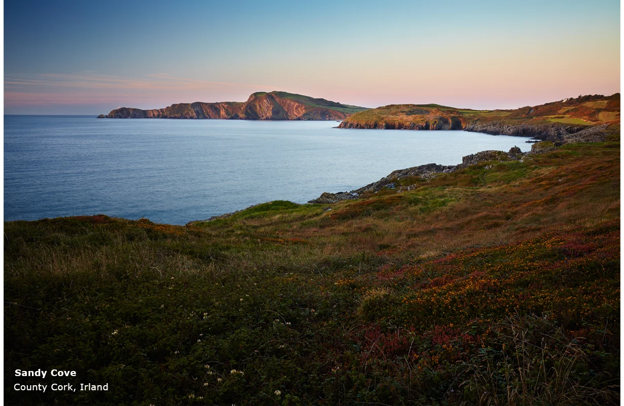 Schwarz 60 Sandy Cove.jpg