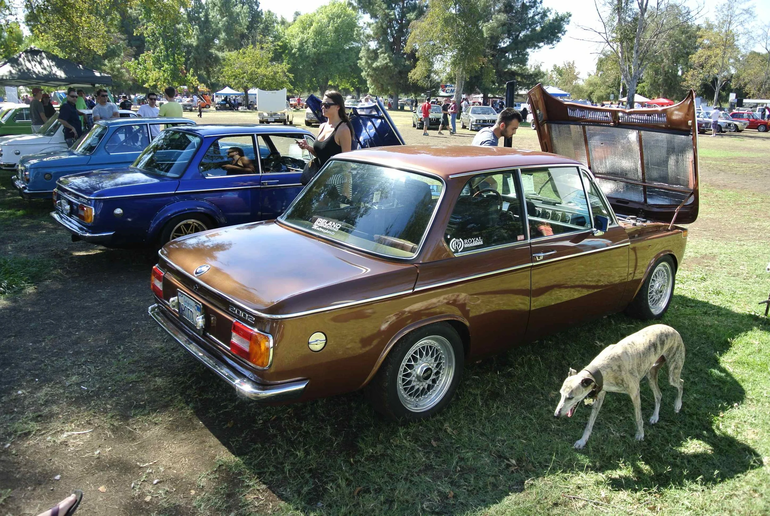 BMW 2002's