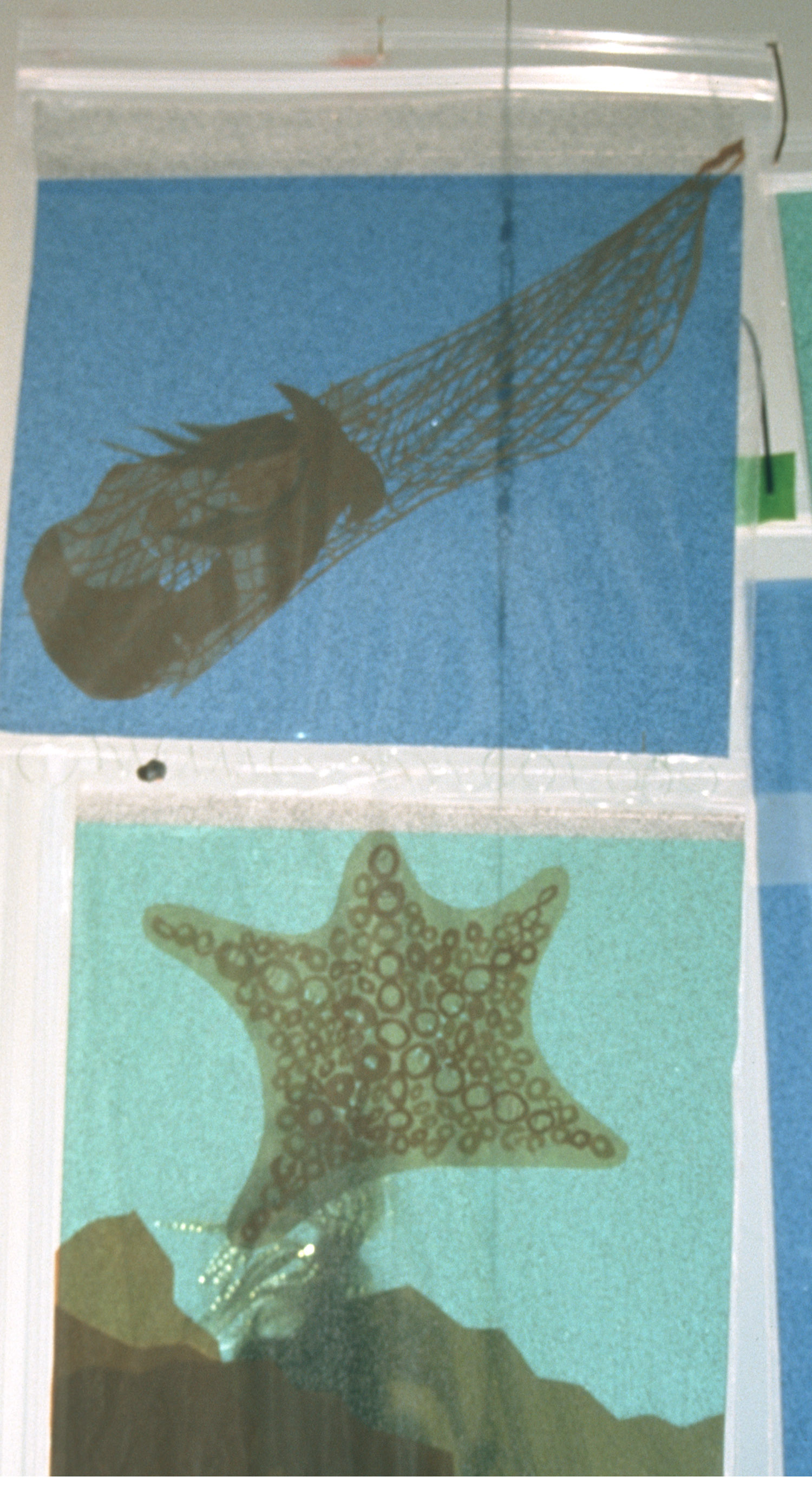 Under the Sea, detail: Netted Mermaid