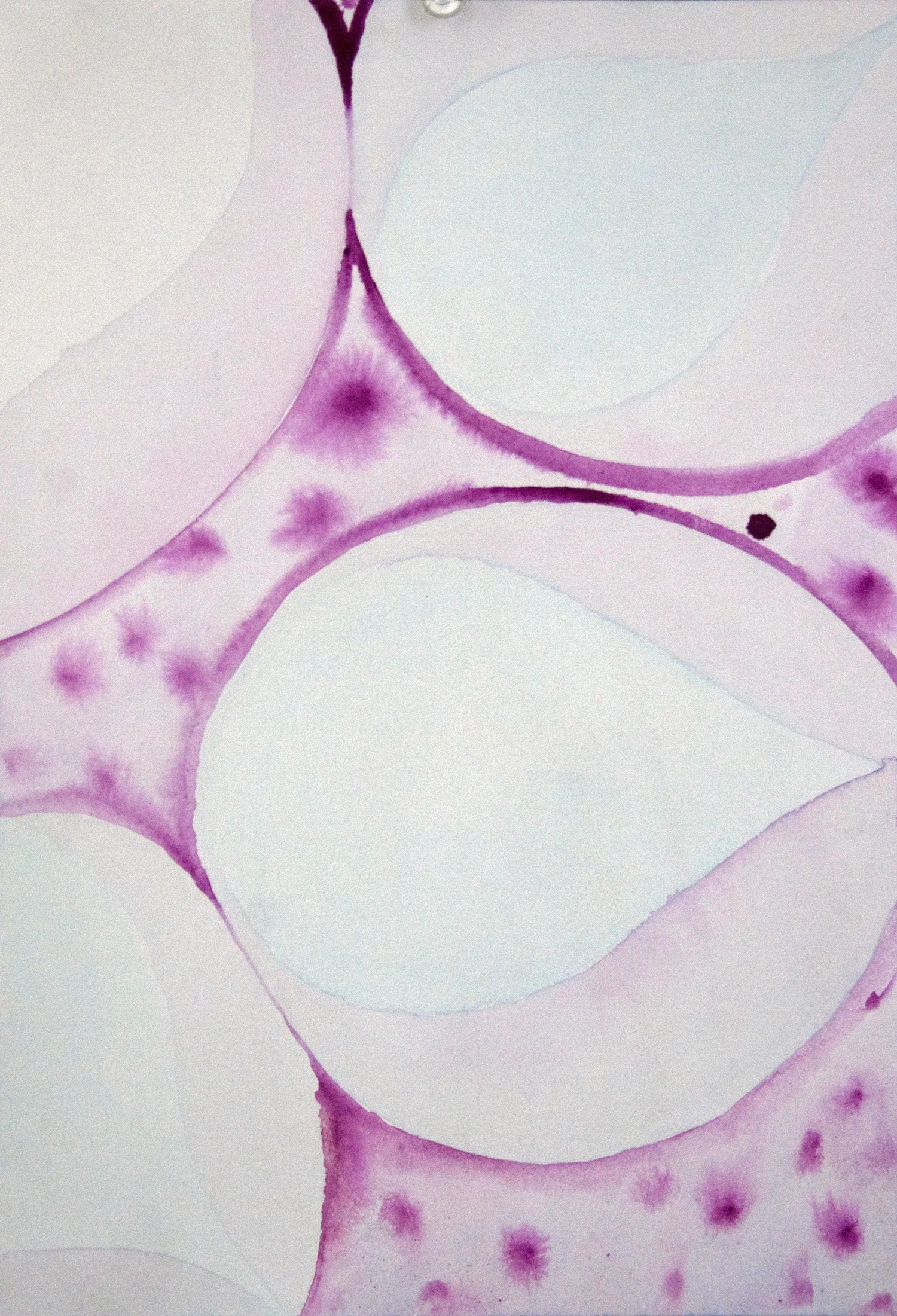 Pink Orb Drops