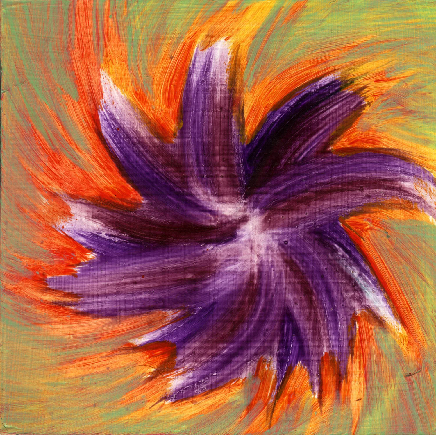 Firecracker Flower