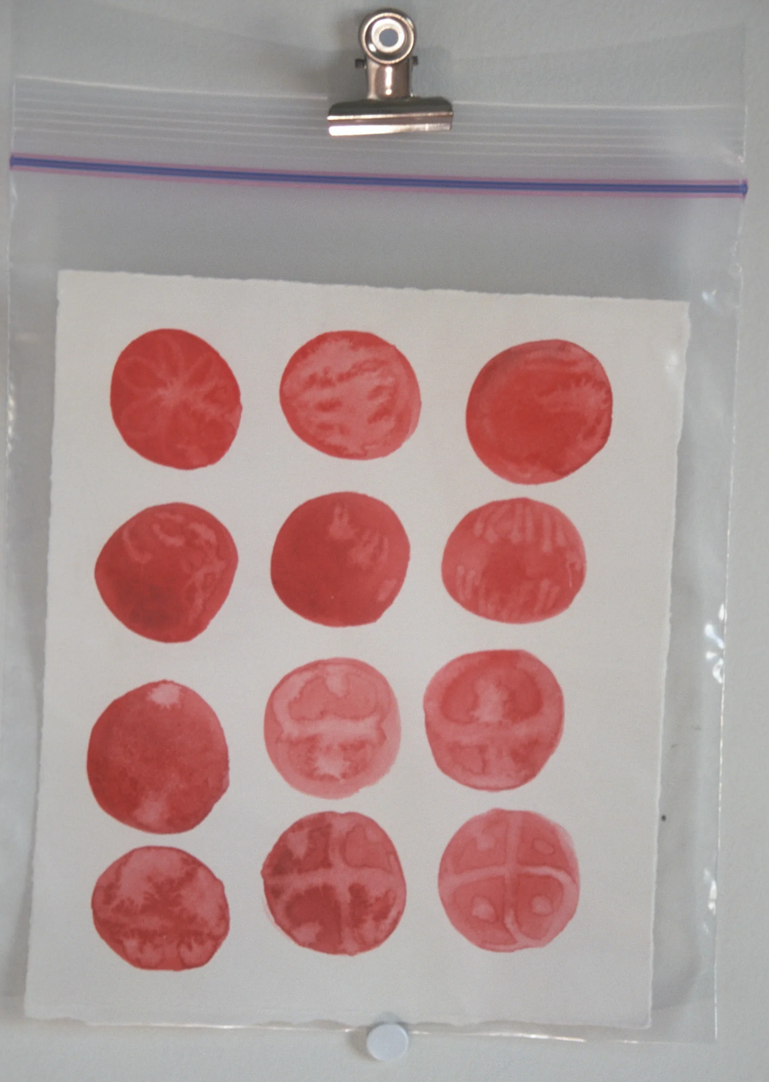 Cell Division